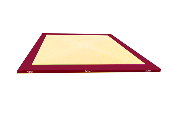 自由体操场地(图1)