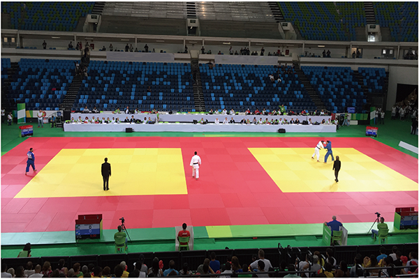柔道场地（训练型） (图1)