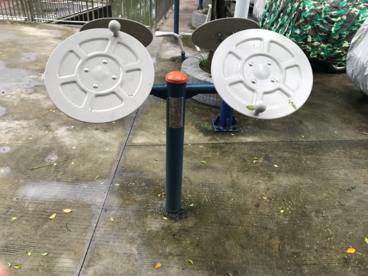 五三队小公园(图2)