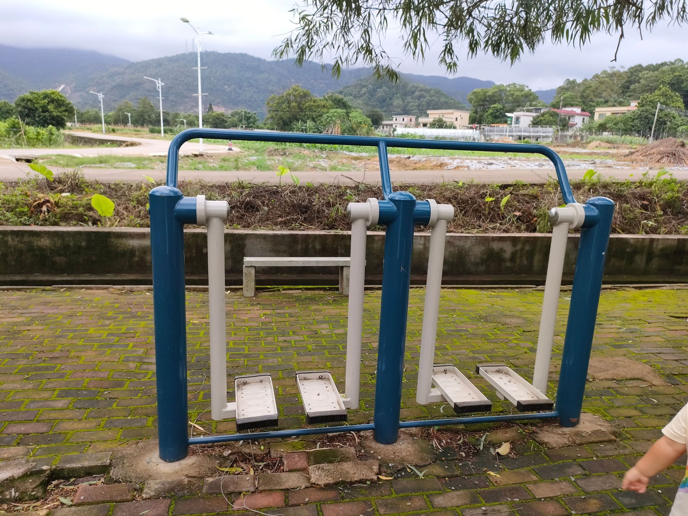 桂南村控虾(图4)