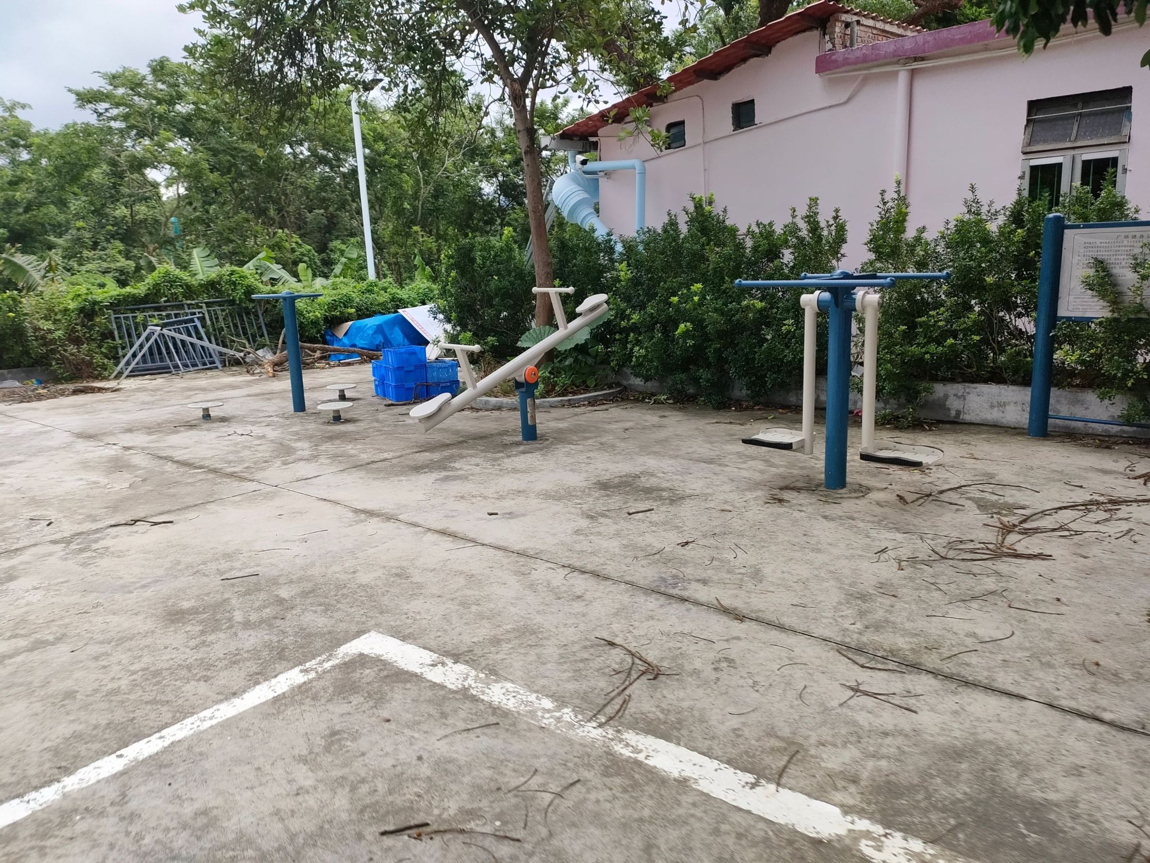 桂南村禾虾(图2)