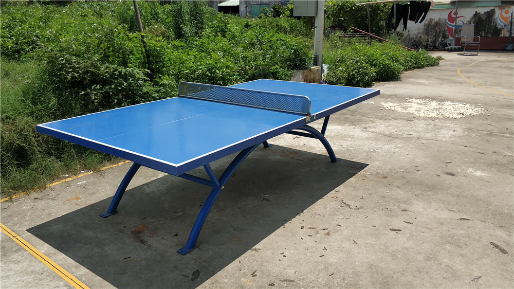 大涌社区新围全民健身路径(图1)