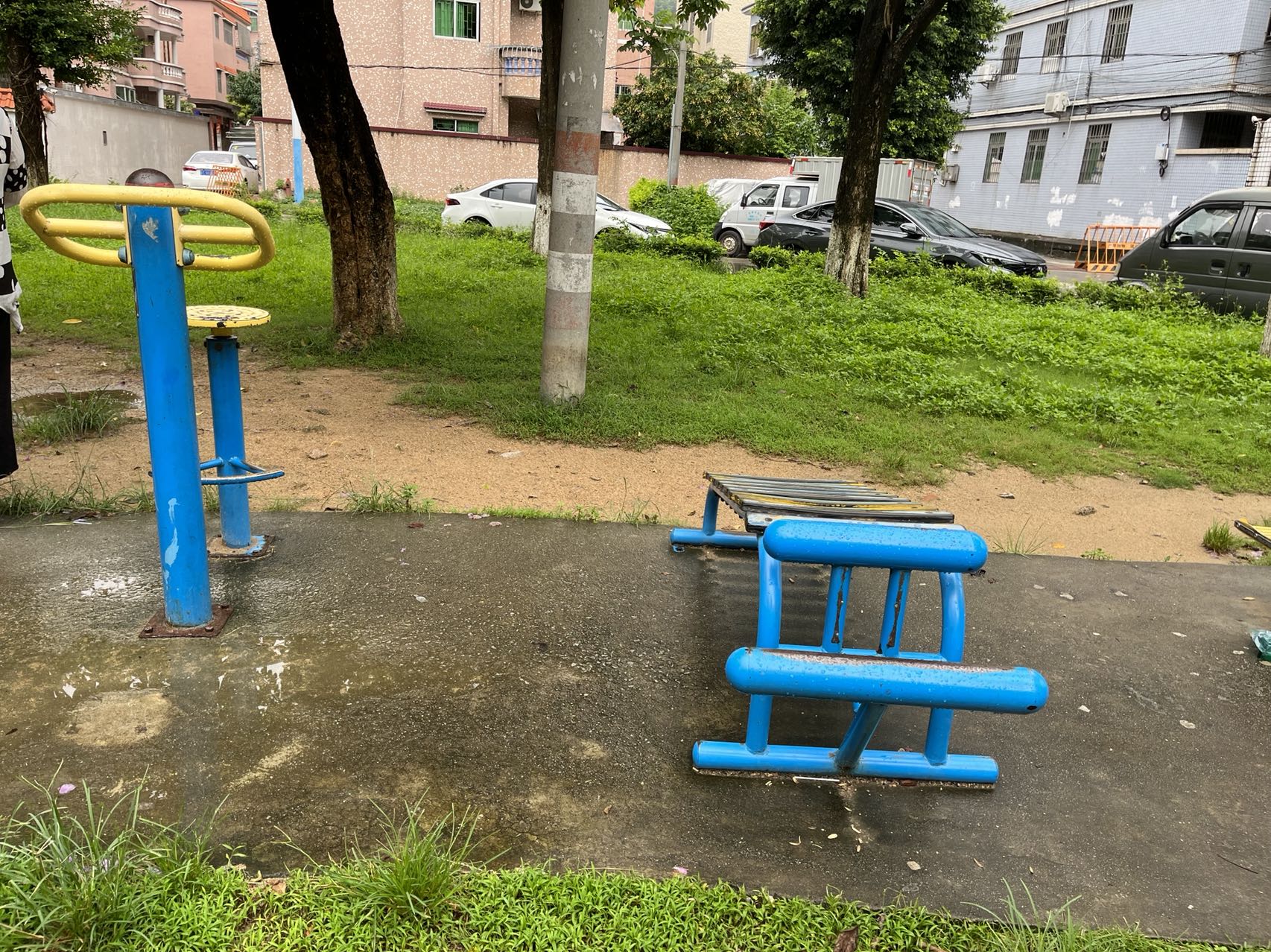 板芙镇金芙花园前(图1)