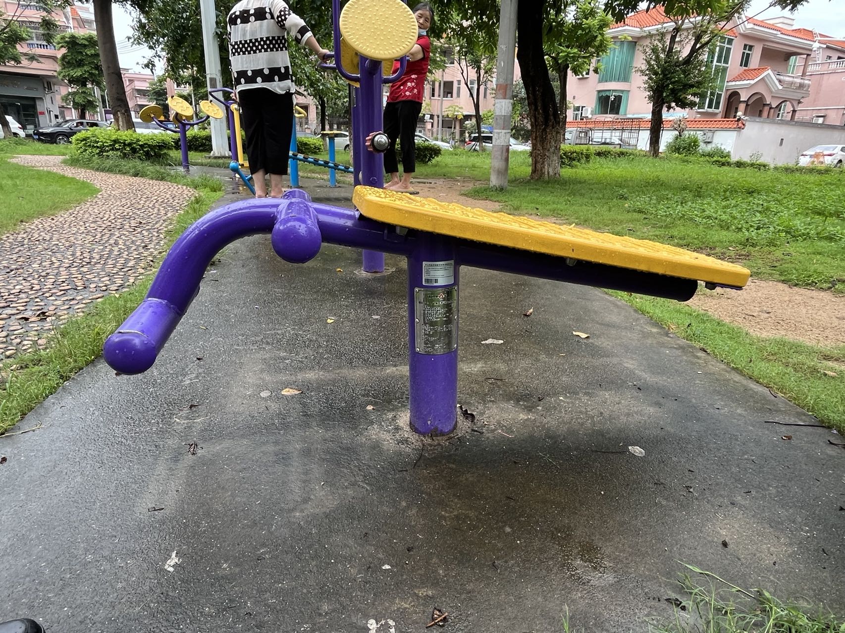 板芙镇金芙花园前(图3)