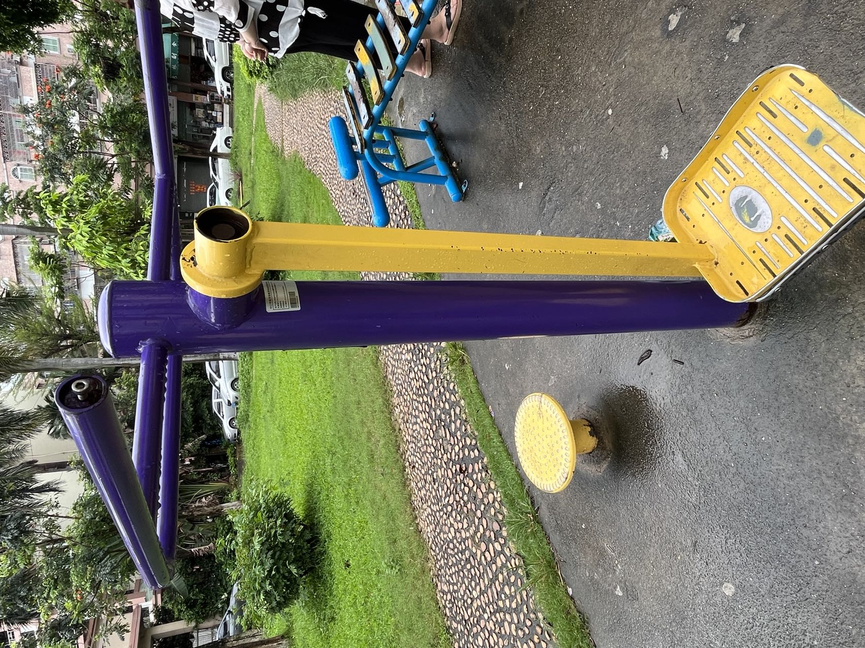 板芙镇金芙花园前(图7)