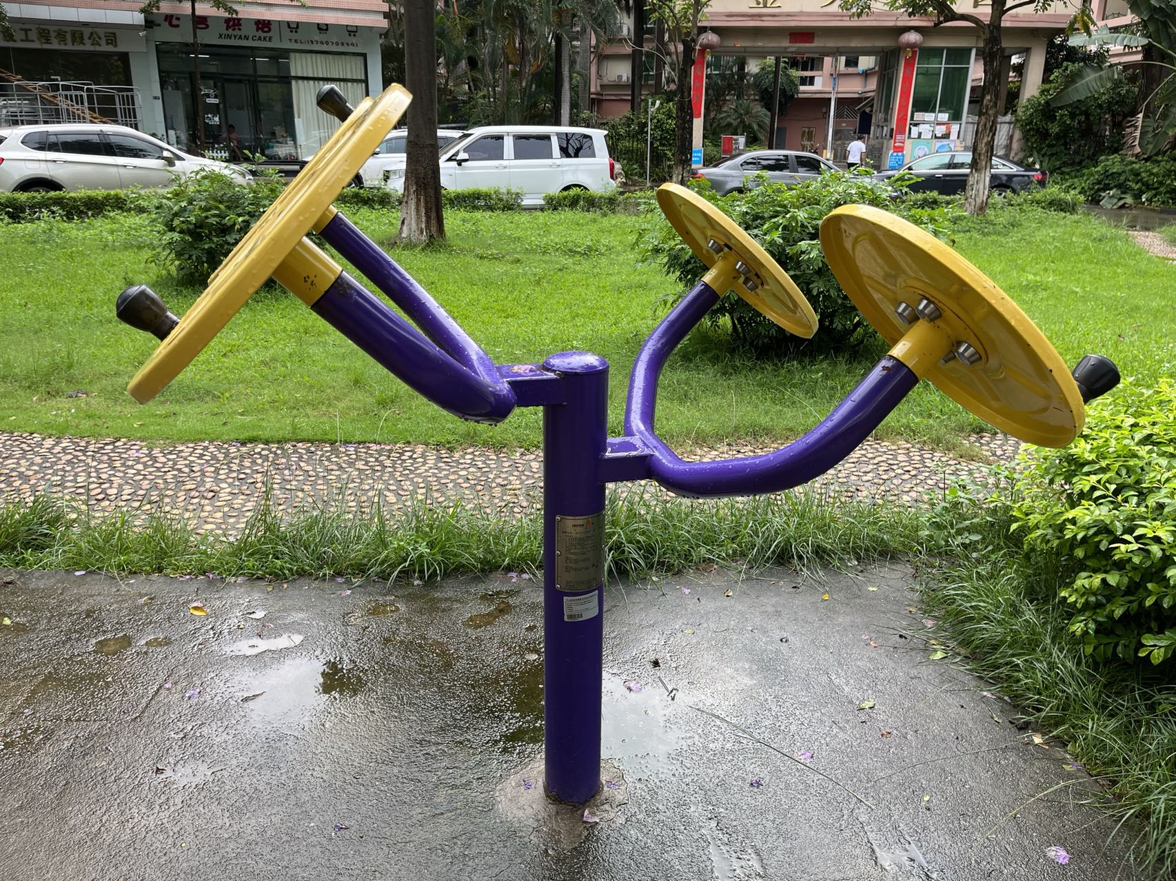 板芙镇金芙花园前(图6)