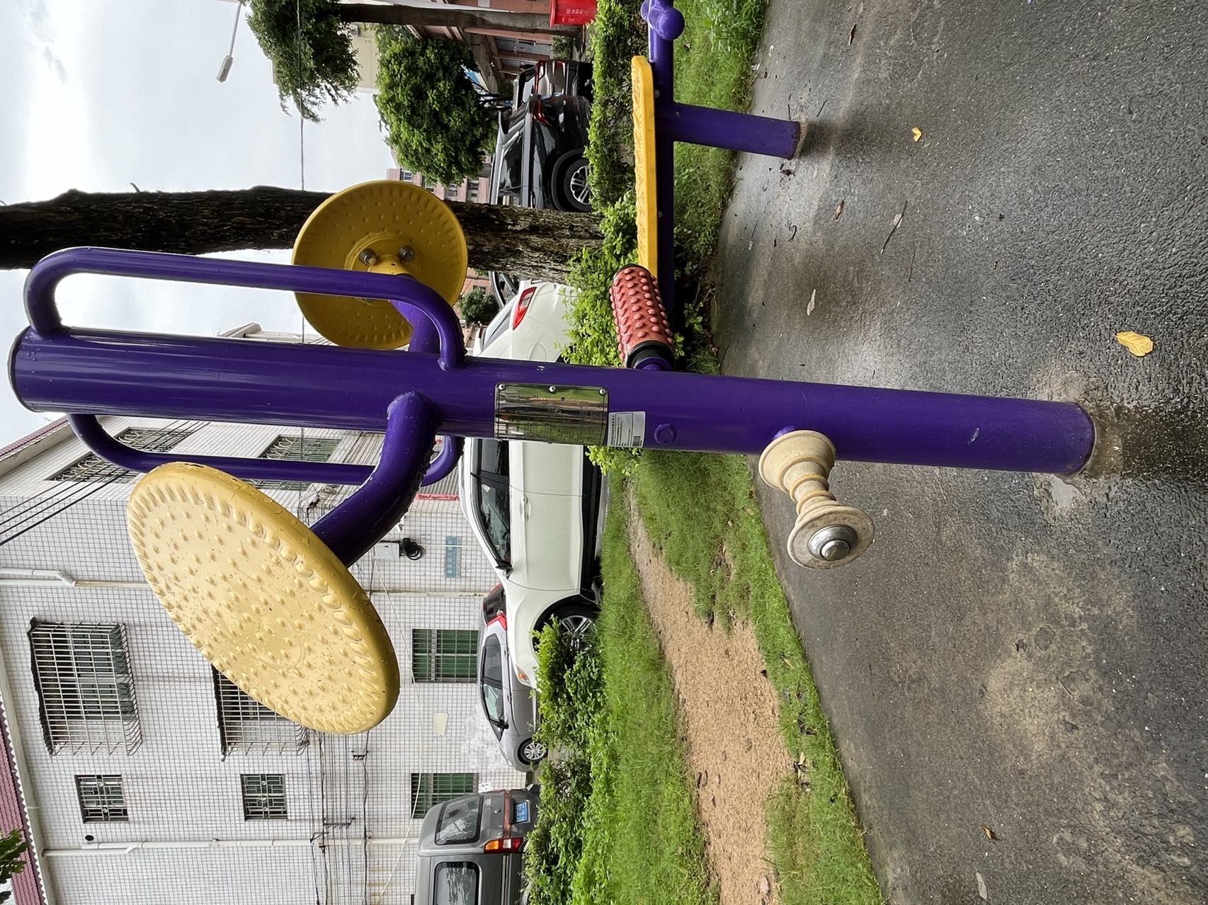 板芙镇金芙花园前(图8)