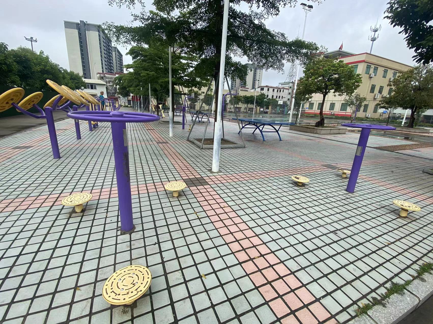 板芙镇白溪村体育公园(图1)