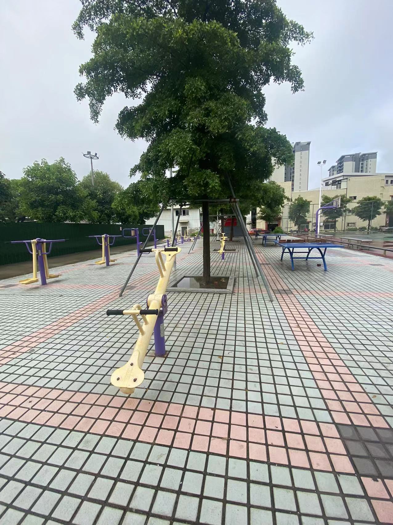 板芙镇白溪村体育公园(图2)