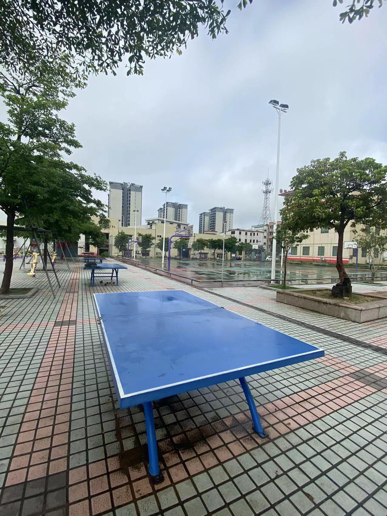 板芙镇白溪村体育公园(图4)