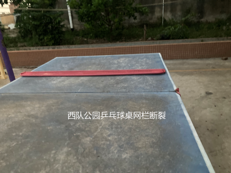 板芙镇板芙村西队公园(图4)