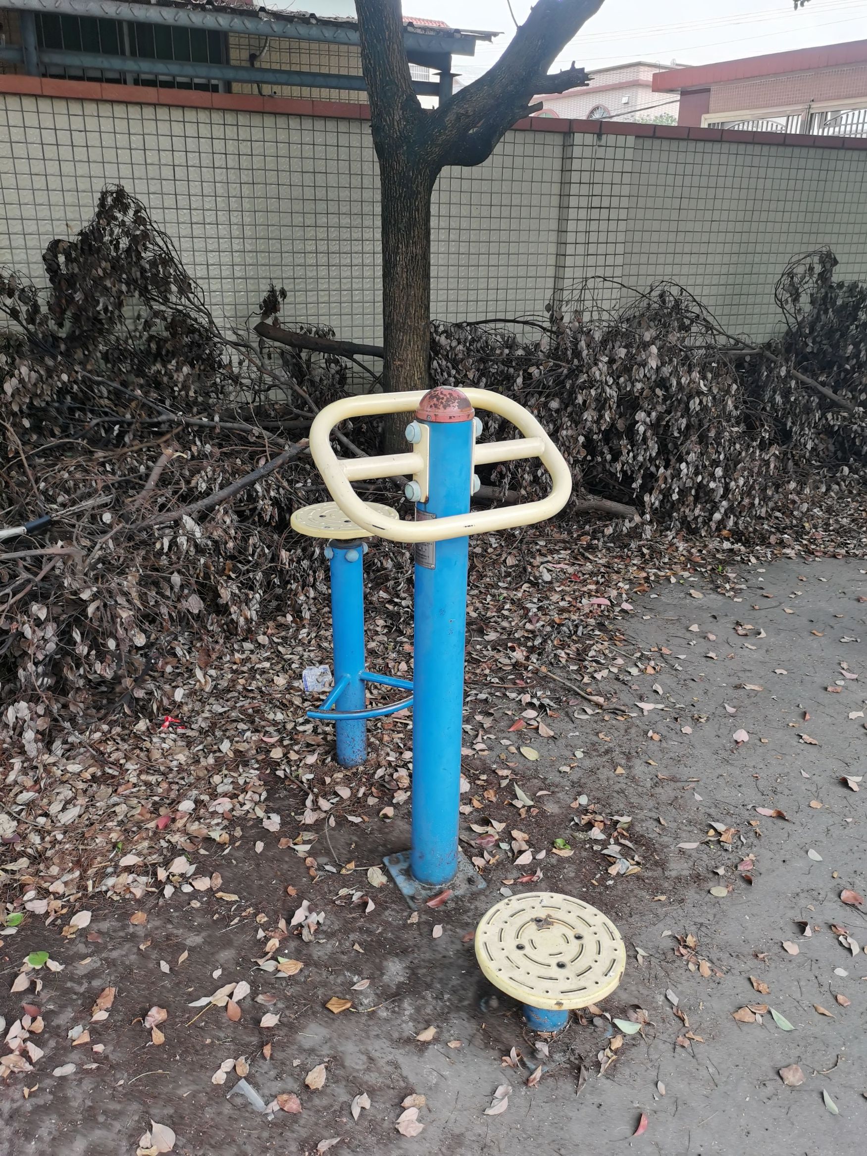 光明接龙文化广场(图5)