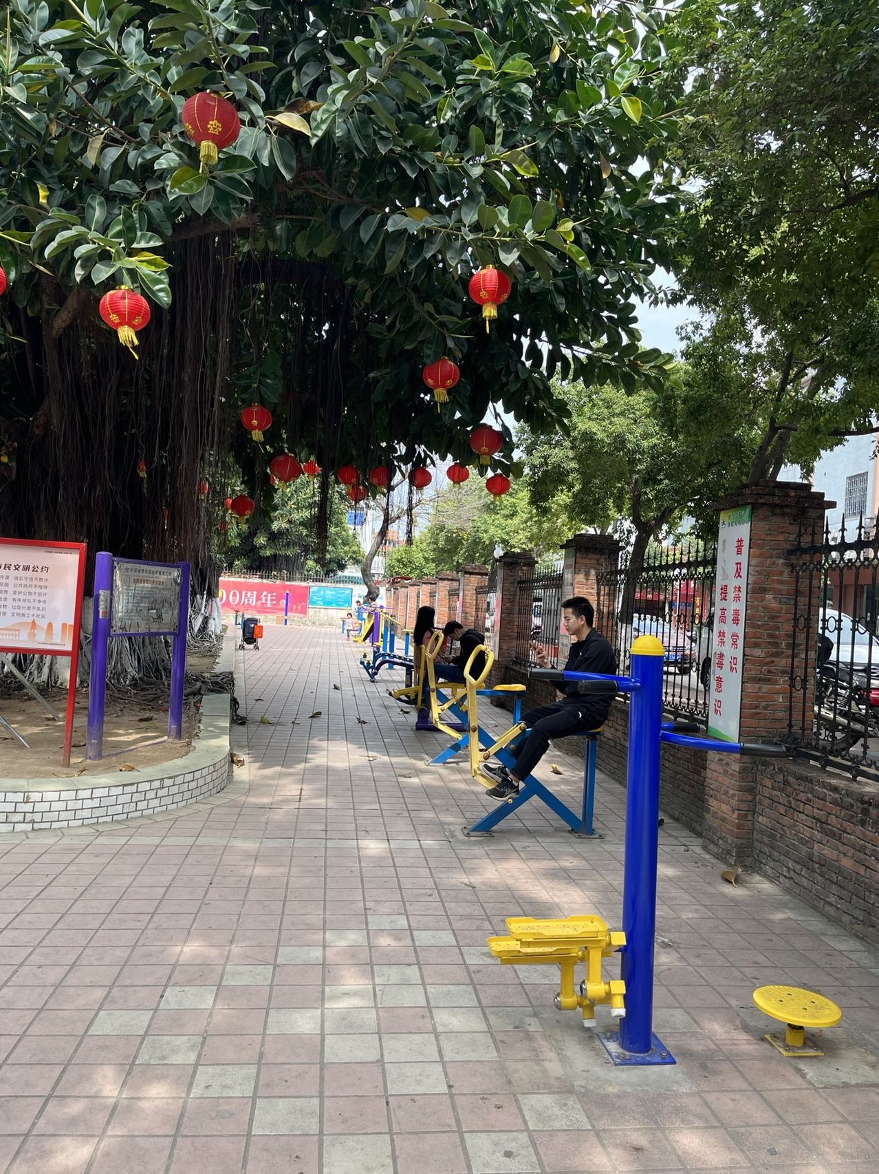 中山市板芙镇板芙公园(图2)