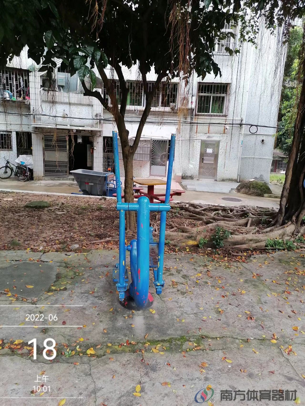 金钟花园(图2) 金钟花园(图2)