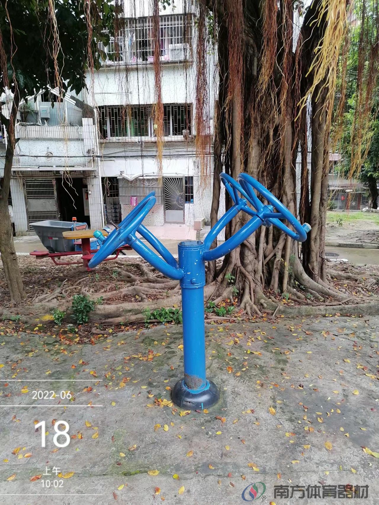 金钟花园(图6) 金钟花园(图6)