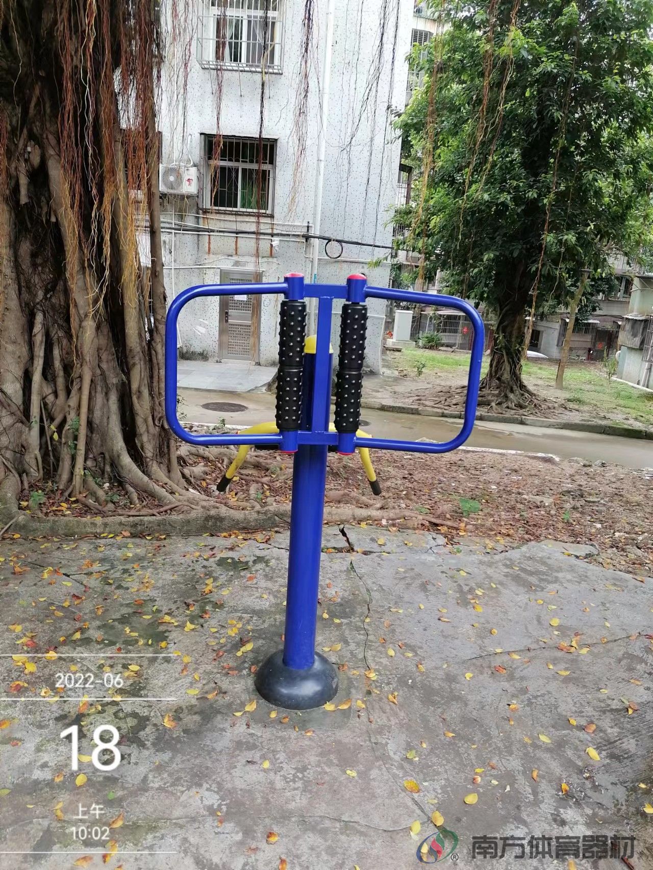 金钟花园(图8) 金钟花园(图8)