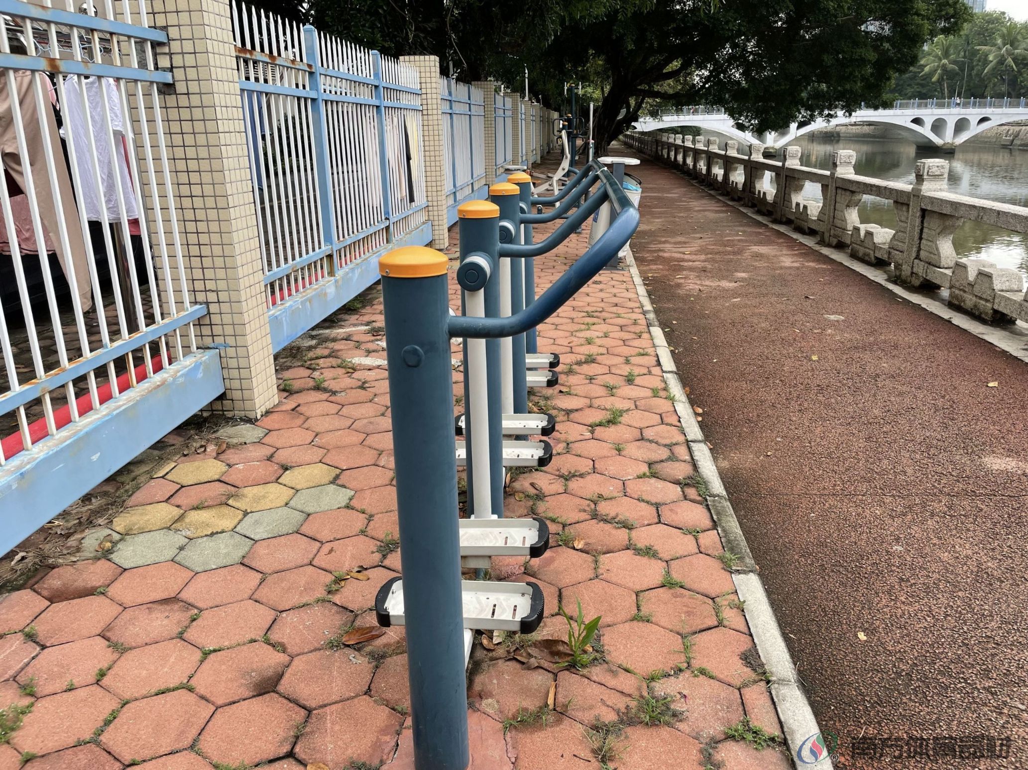 凤凰河渠绿道南华小区西苑段(图6) 凤凰河渠绿道南华小区西苑段(图6)