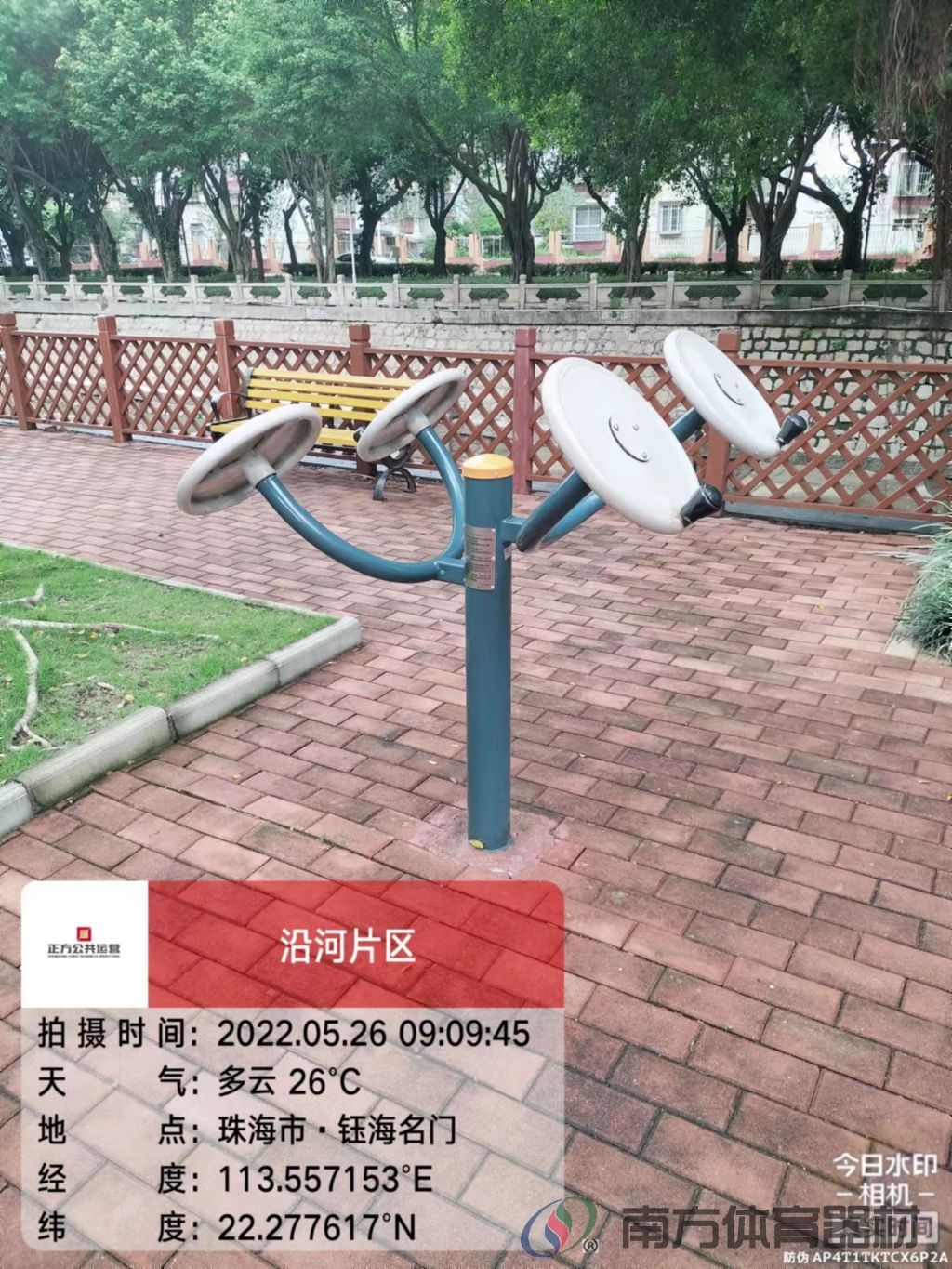 凤凰河社区公园银桦段(图6)