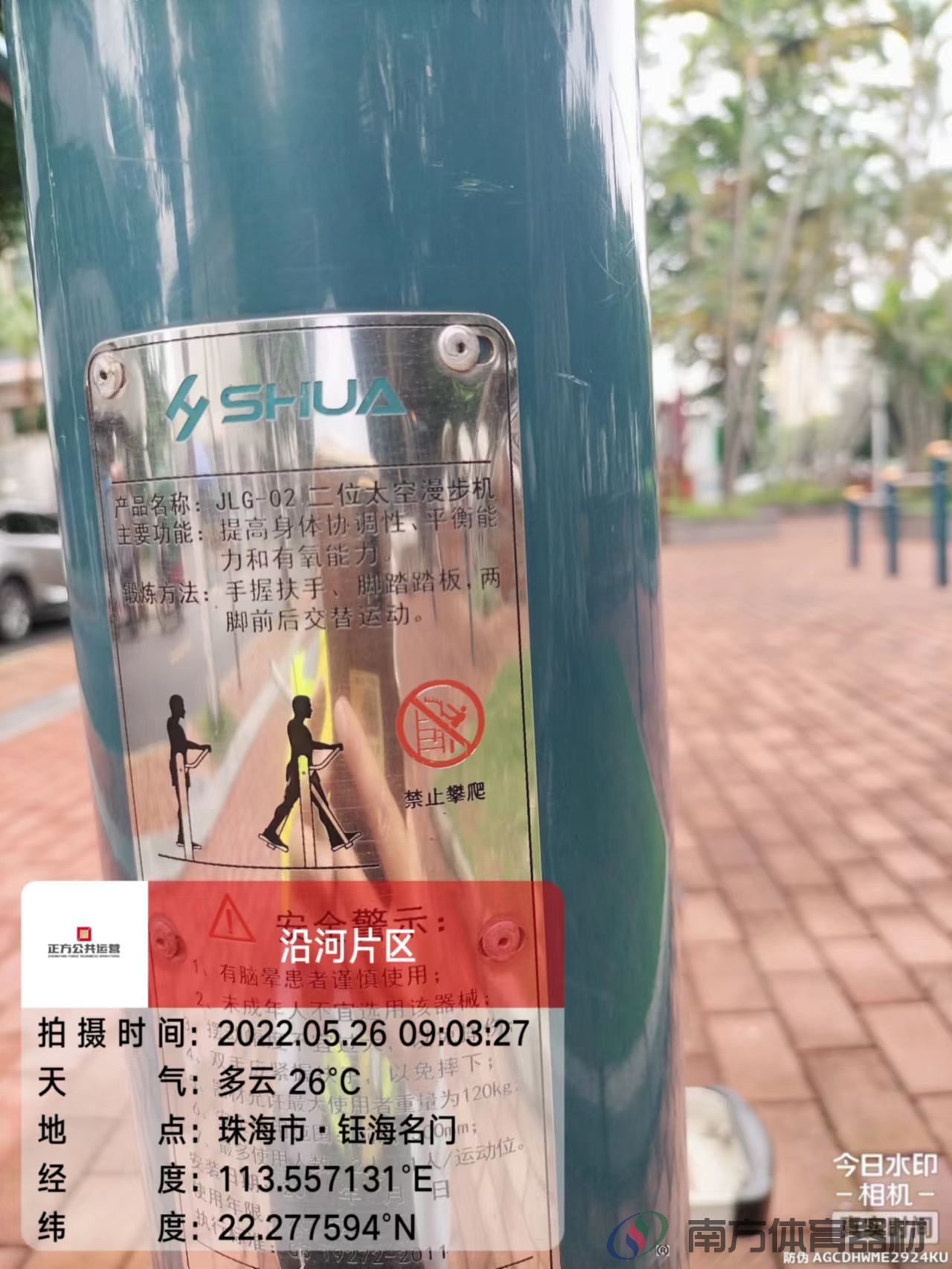 凤凰河社区公园银桦段(图11)