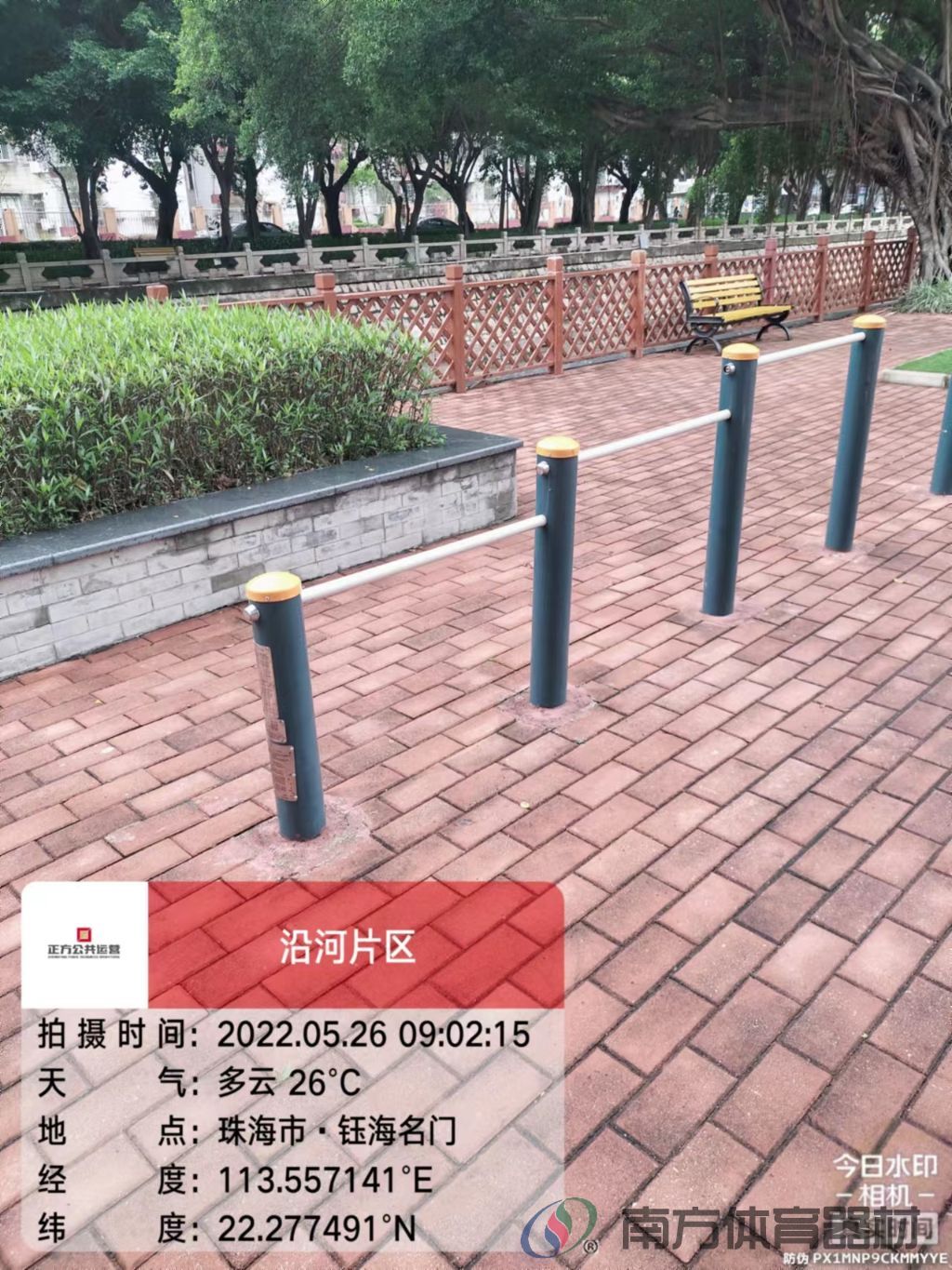 凤凰河社区公园银桦段(图20)